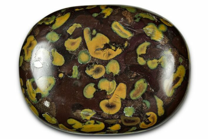 Polished Fruit Jasper Palm Stone - India #342245